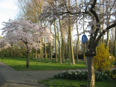 biking trail in Holland
