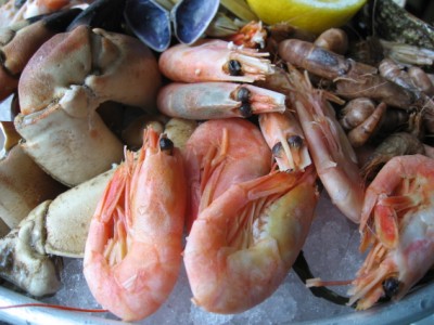 dutch seafood platter dutch seafood platter