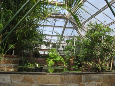 Hortus Botanicus Leiden Hortus Botanicus Leiden