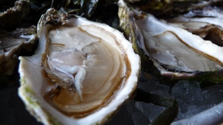 Oysters at Hotel New York Restaurant, Rotterdam