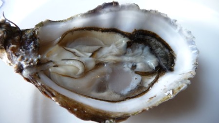 Oysters at Hotel New York Restaurant, Rotterdam