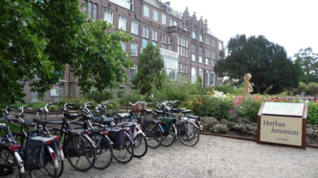 Hortus Botanicus Leiden