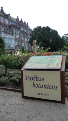 Hortus Botanicus Leiden
