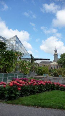 Hortus Botanicus Leiden