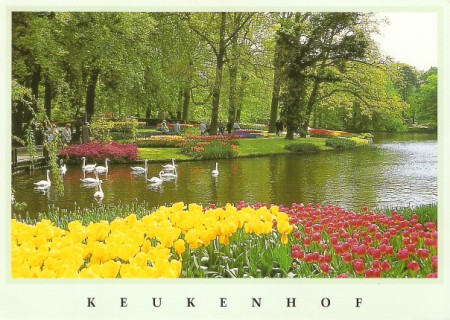 keukenhof Postcard with Lao Stamp