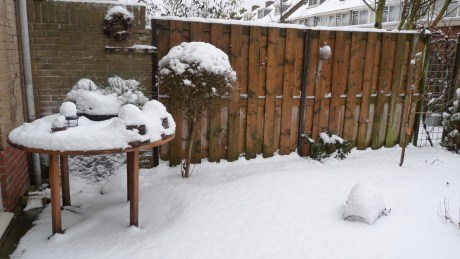 Snow Day in the Netherlands