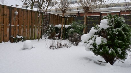 Snow Day in the Netherlands