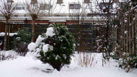 Snow Day in the Netherlands