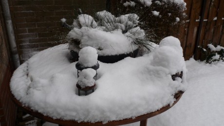 Snow Day in the Netherlands