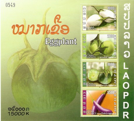 eggplant Lao ms