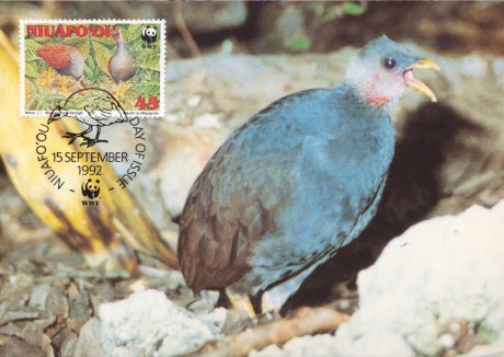 Niuafo'ou Maximum Card Birds