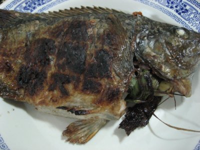 Lao Grilled Fish