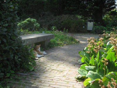 Leiden University Garden
