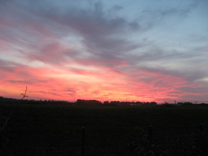 sunset in NL