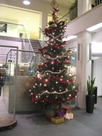 Christmas Tree at school