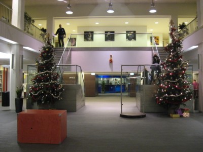 Christmas Trees at school