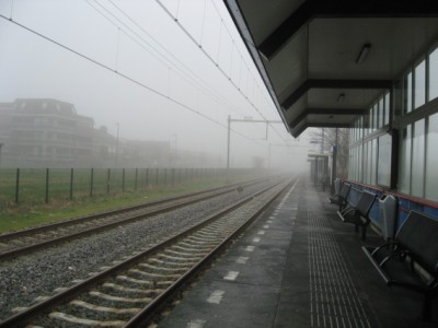 foggy day in NL