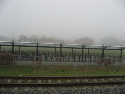 foggy day in NL