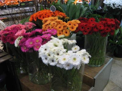 flowers shop in NL