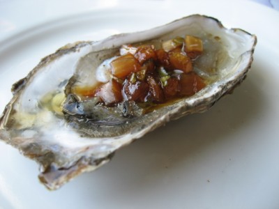 dutch oysters