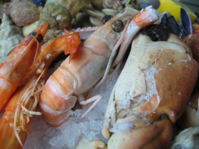 dutch seafood platter