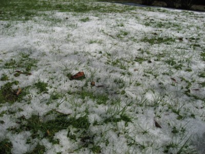 hailstorms in the Netherlands