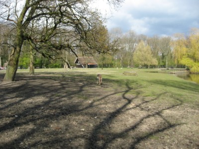 A park in Leiden