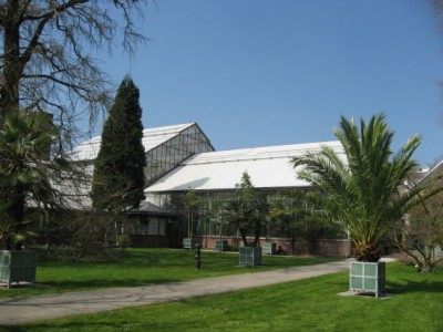 Hortus Botanicus Leiden