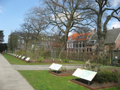 Hortus Botanicus, Leiden