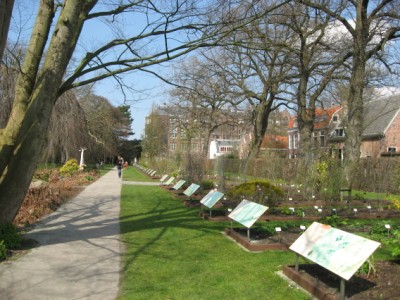 Hortus Botanicus, Leiden