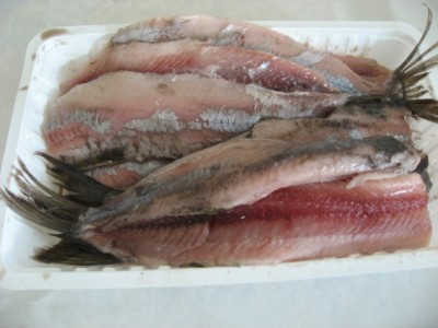 Dutch herring