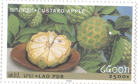 Custard Apple Lao Stamp