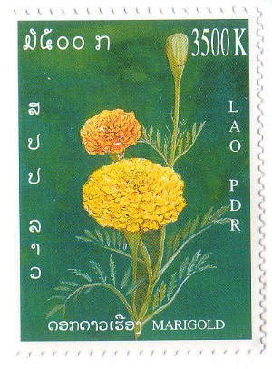 Marigold Lao Stamp