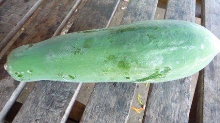 green papaya