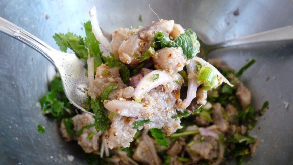 Lao Food - Fish Salad