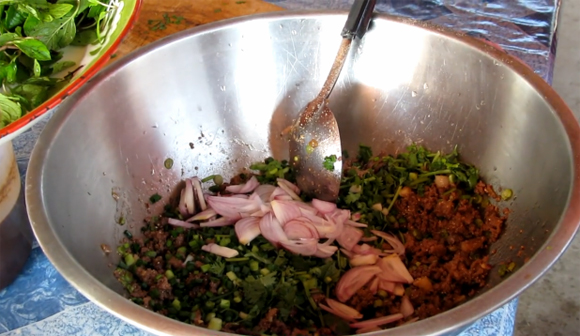 Lao Food Minced Duck Salad